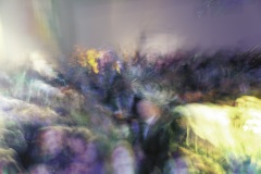 20190305-231912-MvD